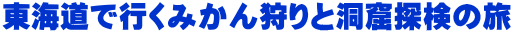 東海道で行くみかん狩りと洞窟探検の旅